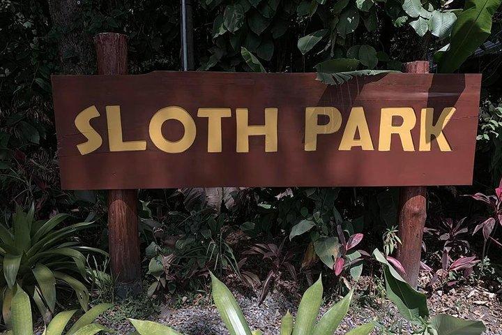 Sloth Watching Tour in La Fortuna - Wildlife Experience