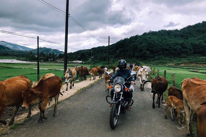 Da Lat Easy Rider Tour to Coffee Farm - Waterfalls_Full day