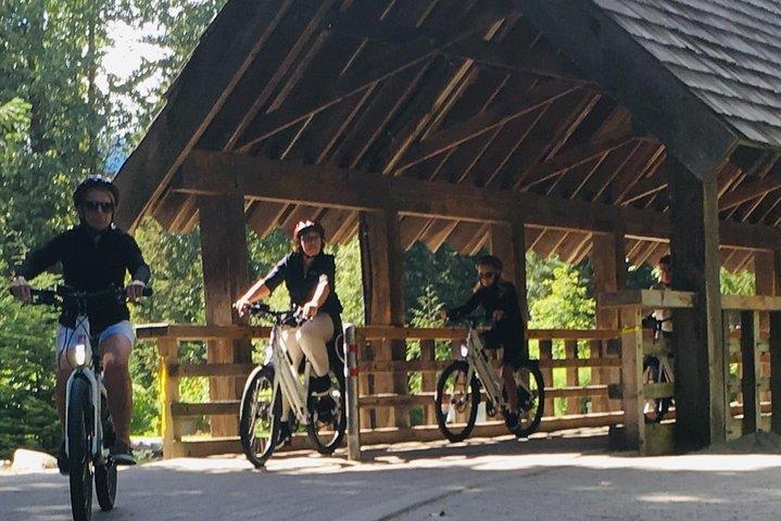 eBike Adventure in Whistler