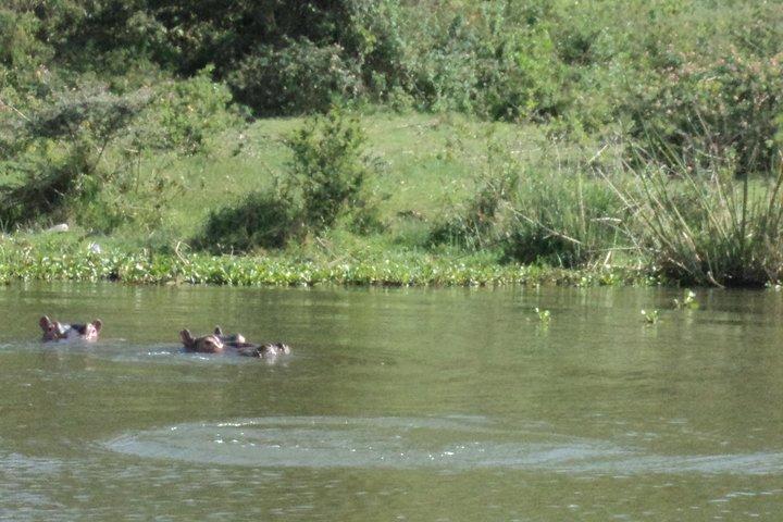 Lake Naivasha & Crescent Island Day Trip with Born Free Legacy