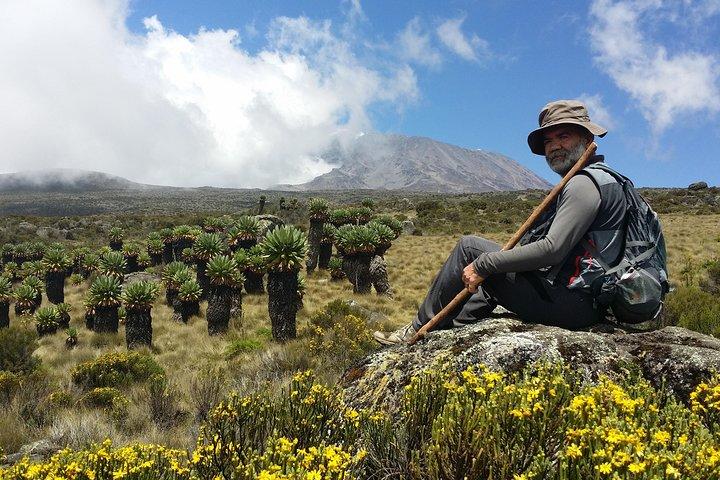Kilimanjaro Marangu Route Day Tour