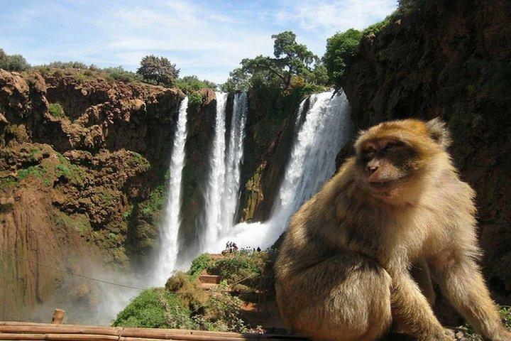 Marrakesh shared group tour to Ouzoud