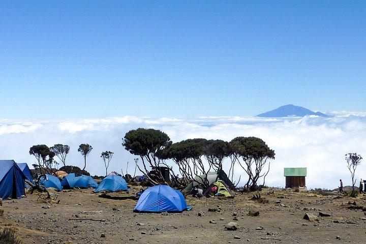 8 Days Mount Kilimanjaro Climbing- Machame Route