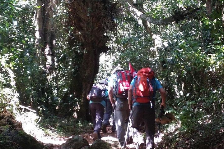 Kilimanjaro Marangu Route Day Tour