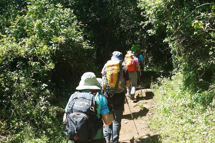 Kilimanjaro Marangu Route Day Tour