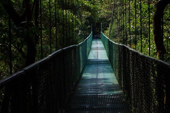 Selvatura Park Combo Tour From Monteverde