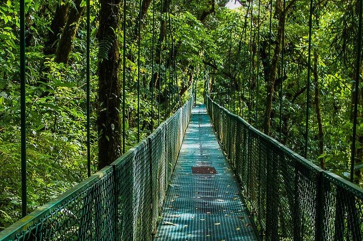 Selvatura Park Combo Tour From Monteverde