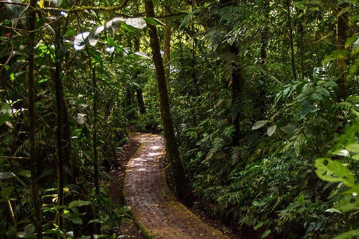 Selvatura Park Combo Tour From Monteverde