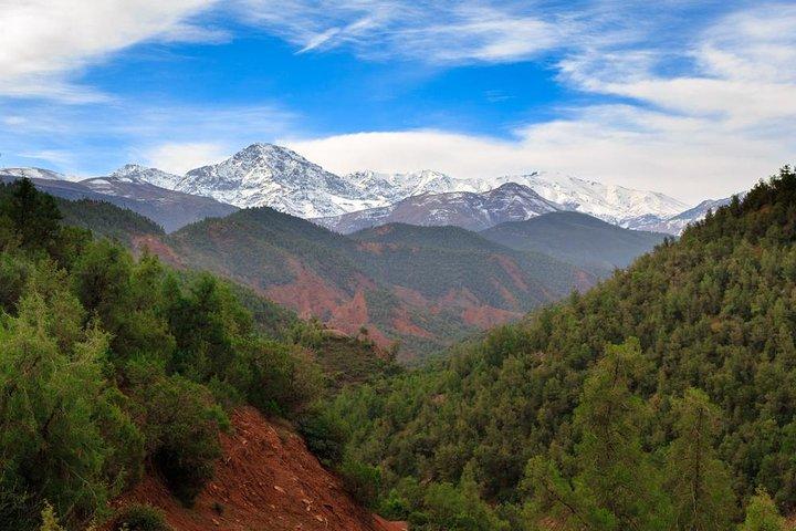 Day Excursion To Ourika Valley and High Atlas From Marrakech: Shared