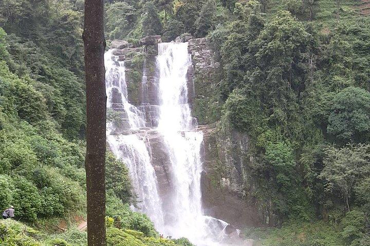 Kandy & Nuwara Eliya 2 Day Privet Tour
