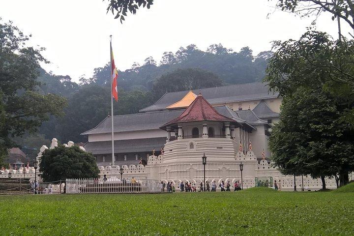 Kandy & Nuwara Eliya 2 Day Privet Tour