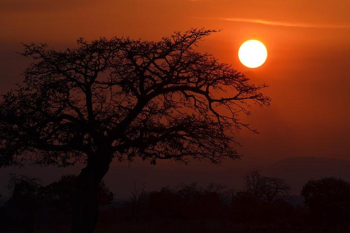 4 Day Serengeti & Ngorongoro Safari Wildlife Wonders of Tanzania