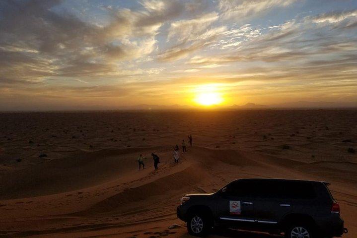 Private Evening Desert Safari Camel, Falcon & BBQ at Premium Camp
