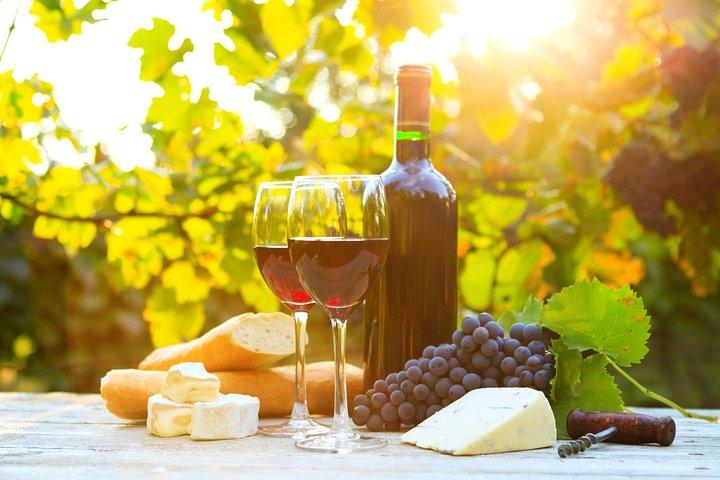 Long Island Winery Tour