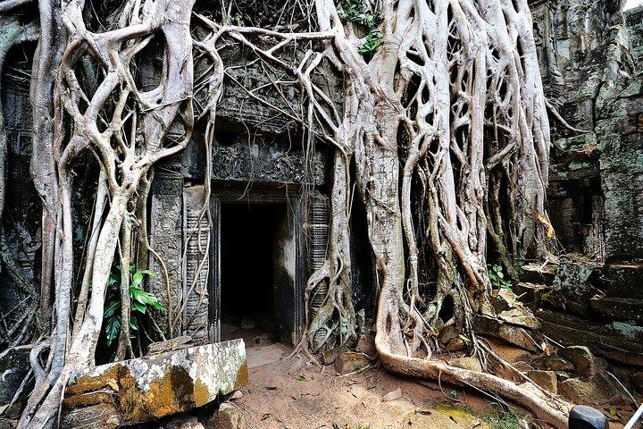 Siem Reap’s signature temples discovered