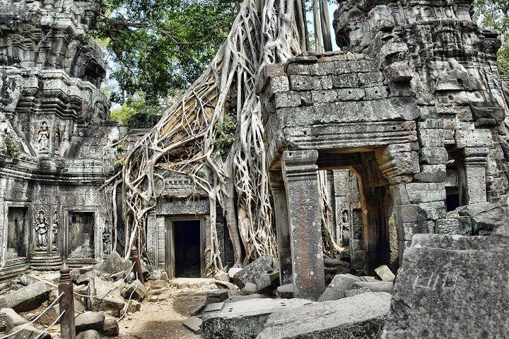 Siem Reap’s signature temples discovered