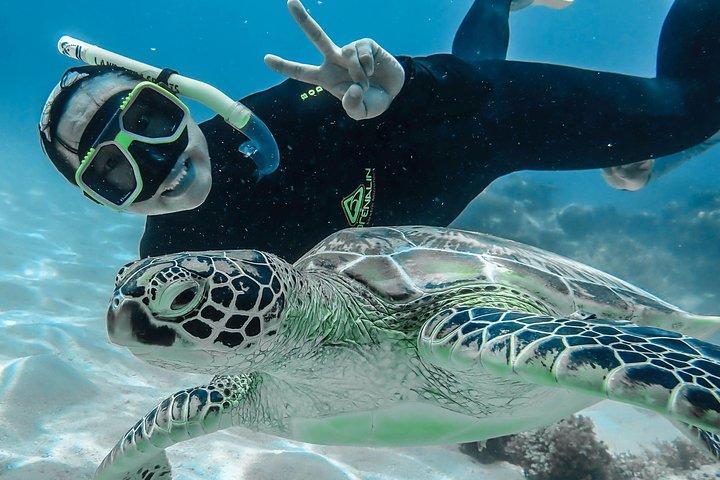 Green Island Full Day Trip from Cairns with City Transfers
