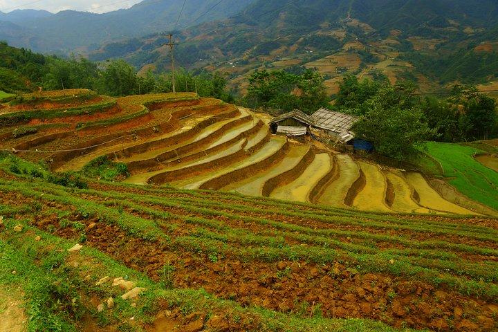 Sapa Trek Experience 2 Days at Homestay