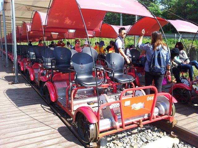Private Tour Rail Bike & Nami Island & (Petite France or Garden of Morning Calm)