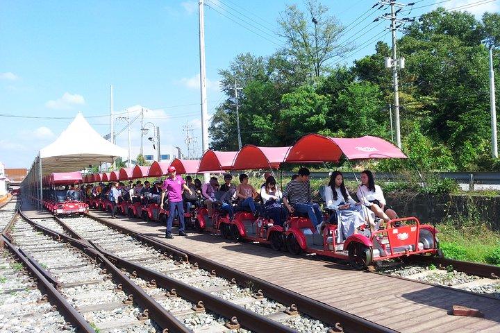 Private Tour Rail Bike & Nami Island & (Petite France or Garden of Morning Calm)