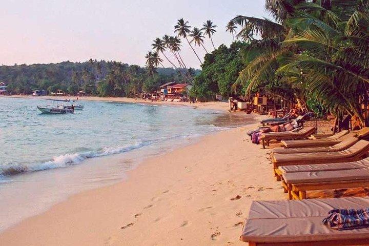 Private Arrival Transfer : Airport (CMB) to Hikkaduwa Hotels
