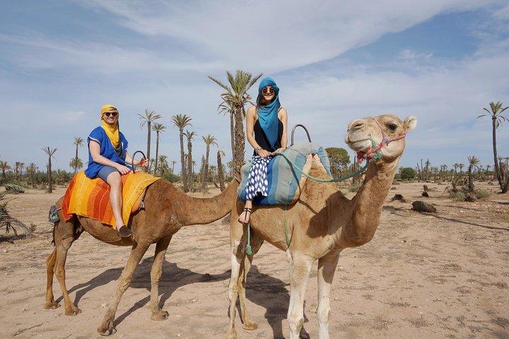 Marrakech camel ride tour