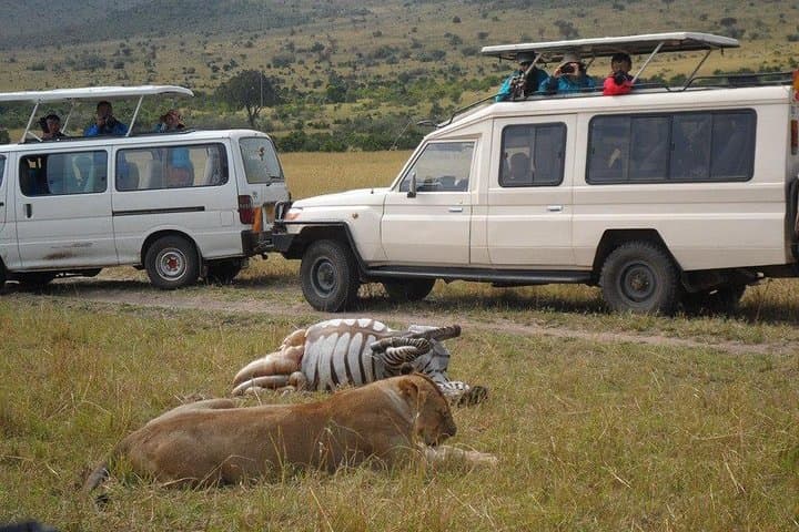 Nairobi National Park,Afternoon Game drive