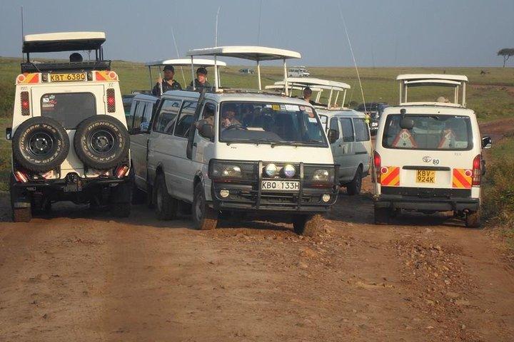 Day Tour Amboseli Park From Nairobi