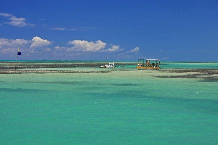 Full-Day Visit to Paripueira Beach and Tide Pools in Maceió