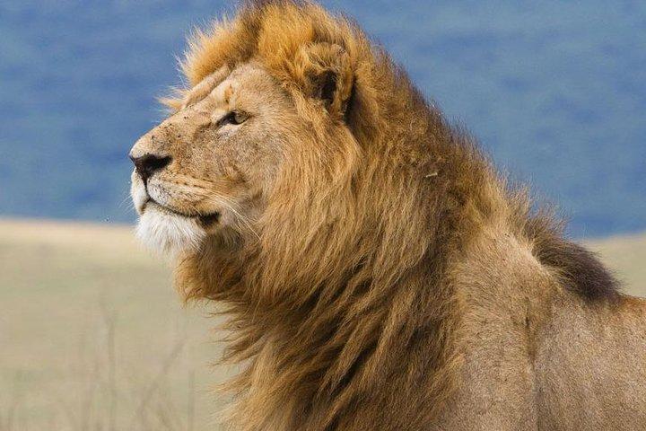 8 Days Budget Camping Tanzania
