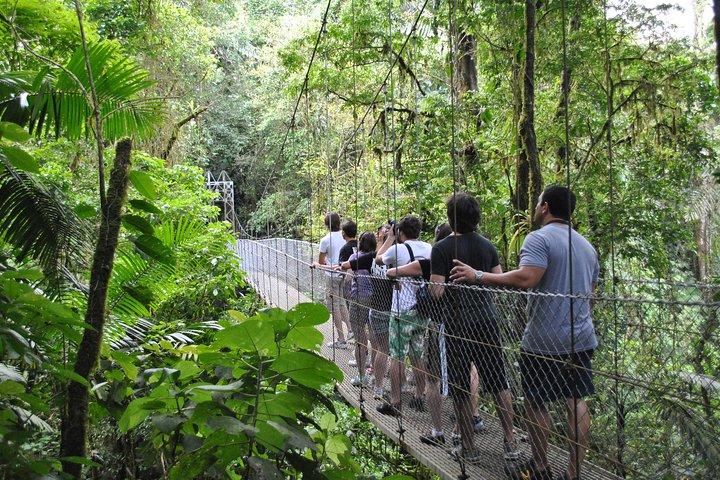 Full-Day Arenal Highlights: Hanging Bridges, Waterfall & Volcano