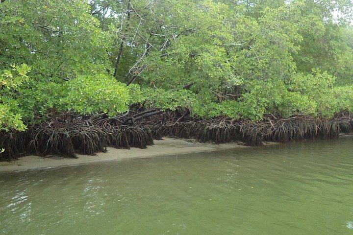 Tour to Praia De Carneiros