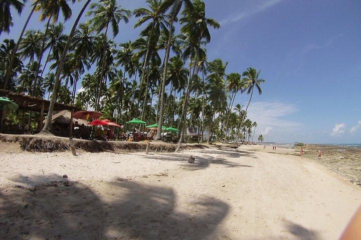 Tour to Praia De Carneiros