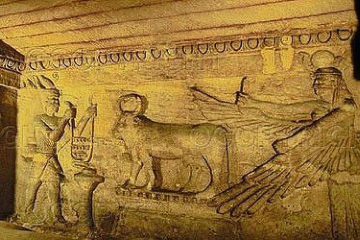 Alexandria Private Day Tour from Cairo