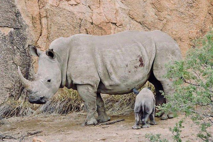 3 Days Serengeti Ngorongoro Crater