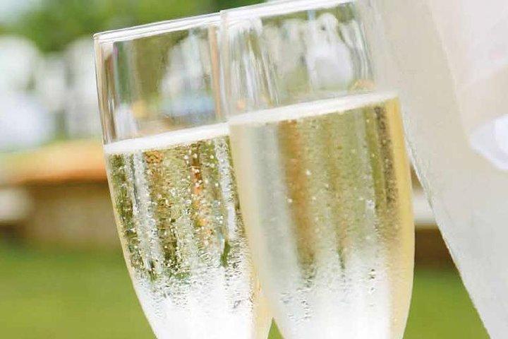 Genoa Day Tour: 4 hours of History with Focaccia , Prosecco & Joy