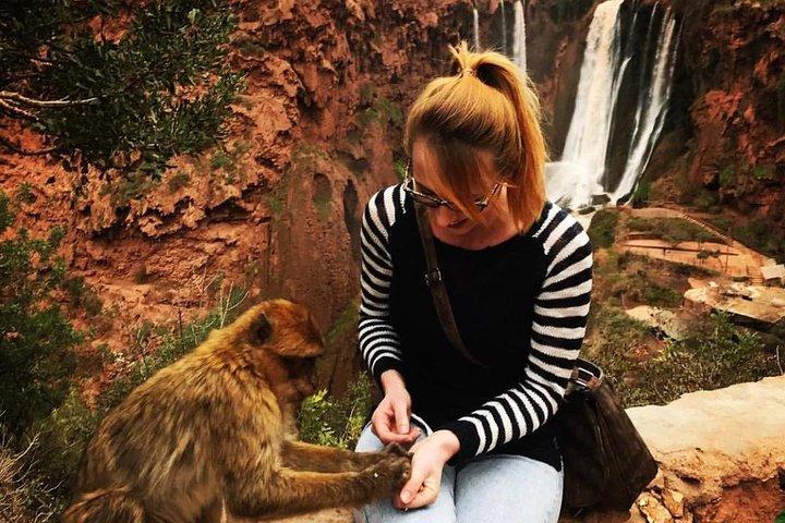 Marrakech : Private Ouzoud Waterfall Day Trip