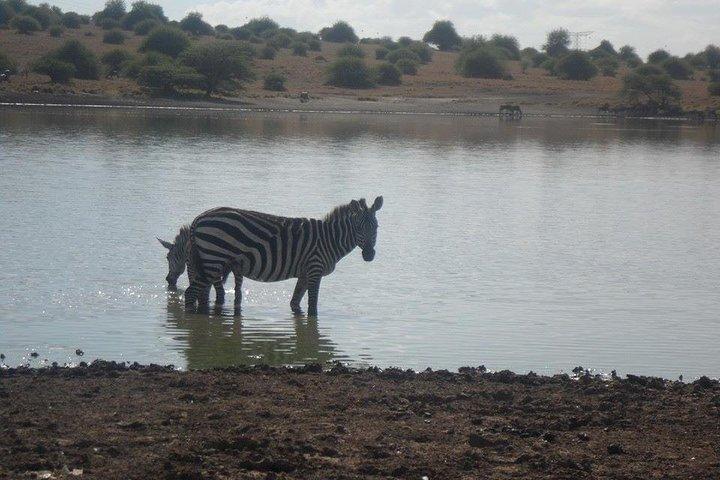 Nairobi National Park/ Giraffe Centre
