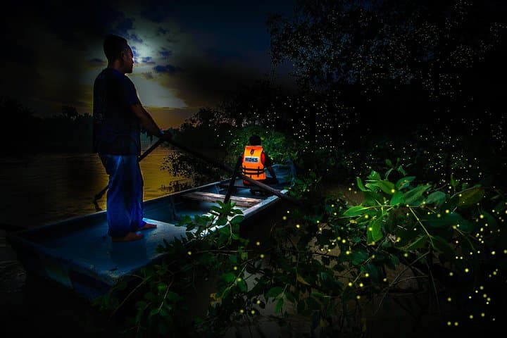 Kuala Selangor Fireflies - Batu Caves Temple- Malawati Hill DayTour With Dinner