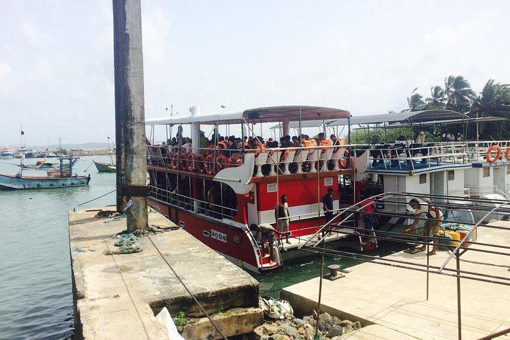Private Transfer and Whale Watching Tour from Hikkaduwa and Galle