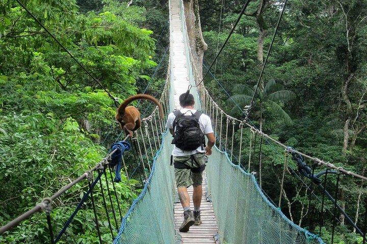 2 days 1 night – Peruvian Tambopata Jungle