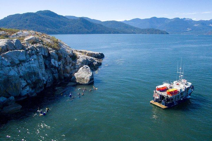 Snorkel, Kayak, and Seal Adventure: Vancouver Boat Tour