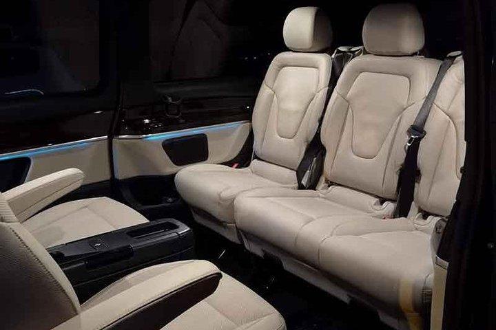 Disneyland Private Transfer - Luxury Minivan Service