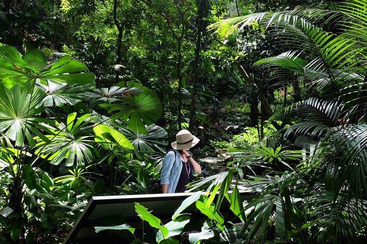 Penang Half Day City Tour Including Tropical Spice Garden
