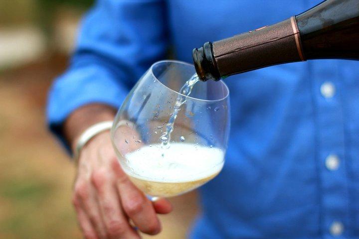 Champagne VIP Day Trip from Paris With Local PRIVATE Wine Expert Guide