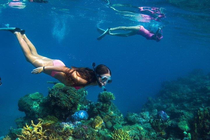 Capt Cook Cruises Super Saver Combo: Day Sail + Dinner Cruise