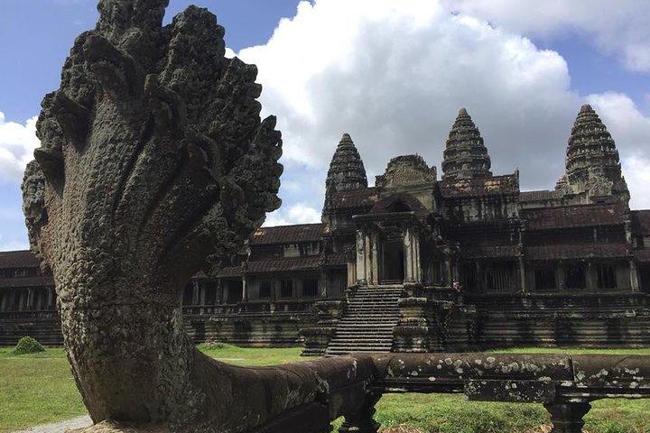 Angkor Wat & Ta Prohm Jungle Temple Half-Day Afternoon Tour