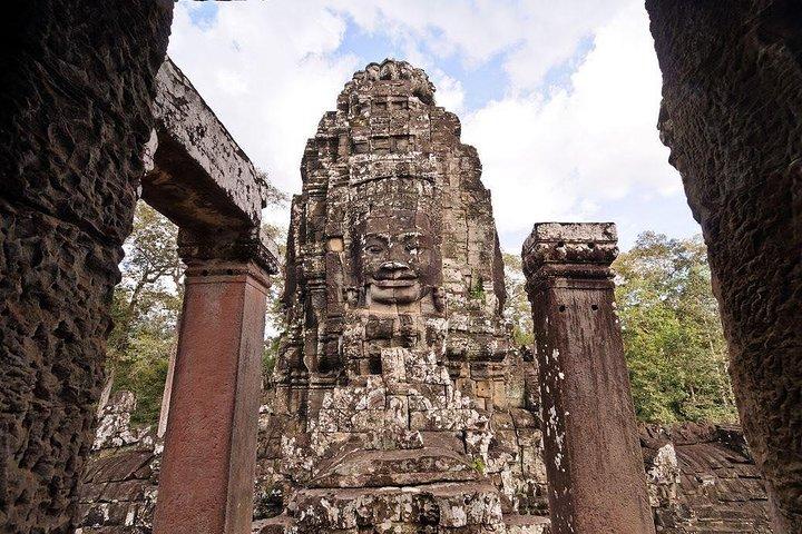 Angkor Wat & Ta Prohm Jungle Temple Half-Day Afternoon Tour