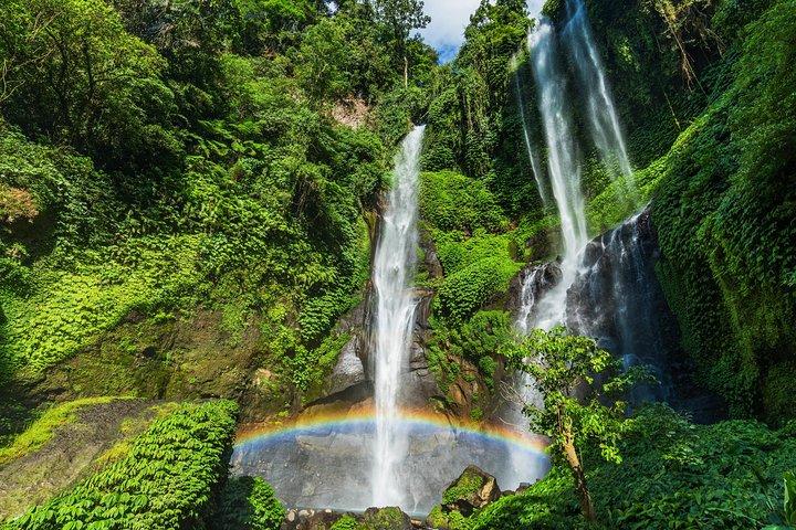 North Bali: Sekumpul Waterfalls and Ulun Danu Temple Tour