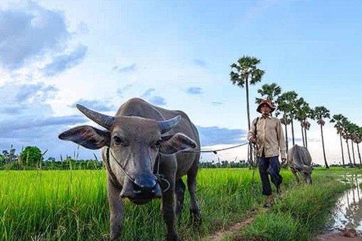 Siem Reap: Silk Farm & Countryside Offbeat Jeep Tour
